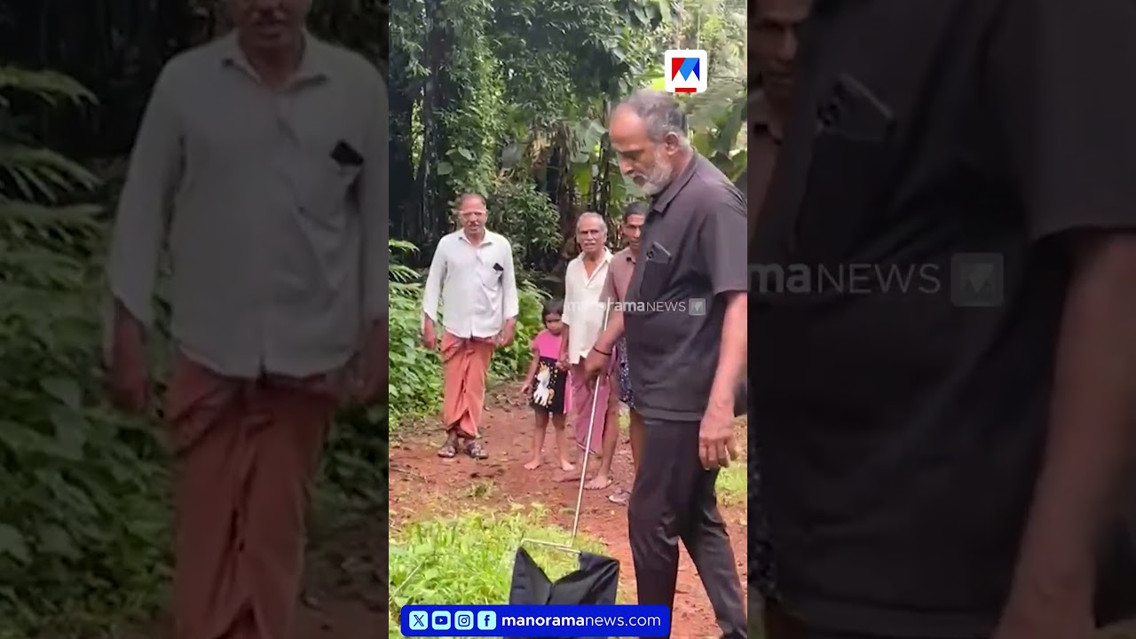 കൊയിലാണ്ടിയിൽ മയിലിനെ പെരുമ്പാമ്പ് ചുറ്റിവരിഞ്ഞു പിടികൂടി; നാട്ടുകാർ എത്തിയത് ബഹളം കേട്ട് | Python
