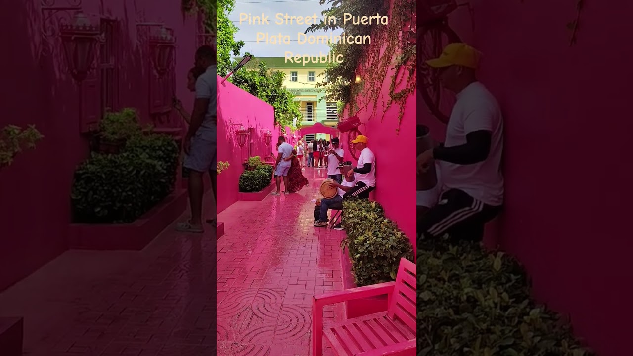 A little #feliznavidad on #pink #street #dominicanrepublic #royalcaribbean #puertoplata #cruise