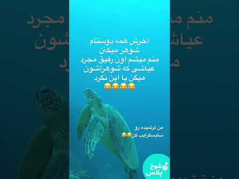 والا اخرش همینه من که راضی نیستم خنده کلیپ خنده دار شوخی طنز