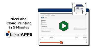 blendAPPS | NiceLabel Cloud Printing SuiteApp for NetSuite | Overview