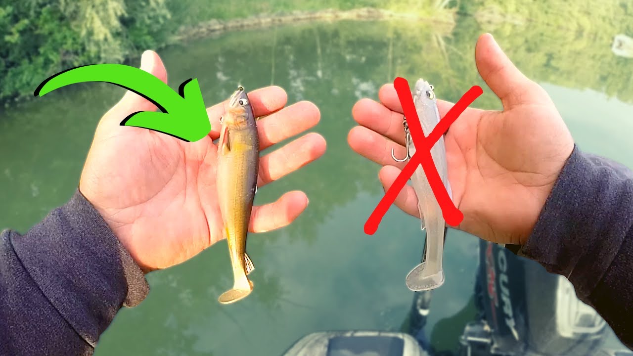 The MOST Underrated Japanese SWIMBAIT On The Market (Stealth