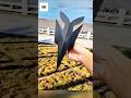 easy paper plane tutorial shorts virashorts paperplane easy paper plane tutorial shorts virashorts paperplane