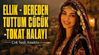 Düğünlerin Vazgeçilmezi: Tokat Ellik Halayı (Dereden Tuttum Cücük)