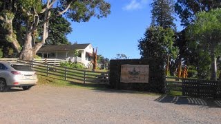 マウイズ・ワイナリー（ テデスキー・ワイナリー ）： Mauiｓ Winery ,  Piilani Highway Kula Maui, / ぶらり旅ハワイ