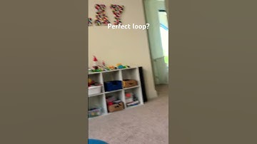 Perfect loop? #memes #funny #perfectloop