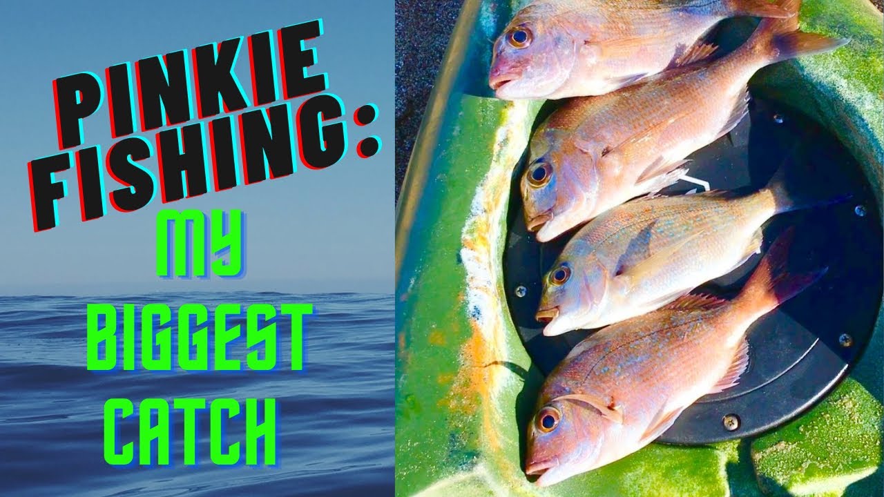 KAYAK FISHING Ricketts Point on Port Phillip Bay | My BIGGEST Catch so ...