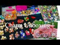 CHARM UNBOXING! Designer Charm Bracelets