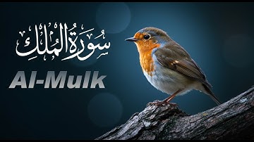 سورة الملك كاملة 🌙 | تلاوة خاشعة تريح القلب بصوت محمد ديبيروف — حماية وطمأنينة (HD)
