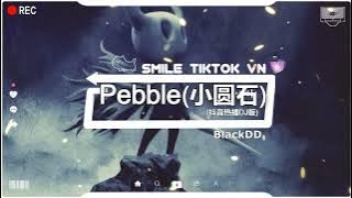 BlackDD - Pebble (小圆石) (抖音热播DJ版) Pebble (Remix) - BlackDD『恰如月亮落下太阳升起，伴随着潮汐涨落的规律』2k22抖音火流行歌曲推荐TikTok