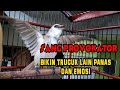 Ropelan Trucukan Ini Bikin Trucuk Lain Panas Dan Emosi Ikut Bunyi Dan Ngropel Mp3 - Mp4 Download