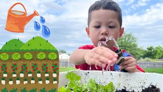 Jasper Help Mommy with Gardening and Planting