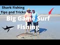 How to Catch Sharks Fishing from the Beach with tips and tricks. Shark Fishing Florida.