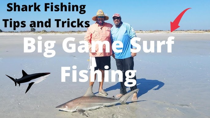 How to Catch Sharks Fishing from the Beach with tips and tricks 
