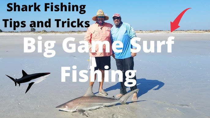 How to Catch Sharks Fishing from the Beach with tips and tricks