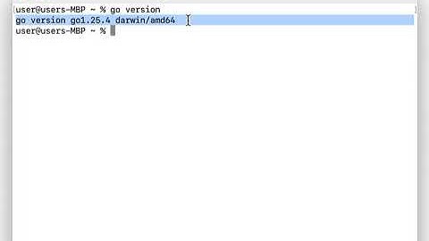 Check Go (Golang) Version on Mac in 10 Seconds! 🖥️⚡ #shorts