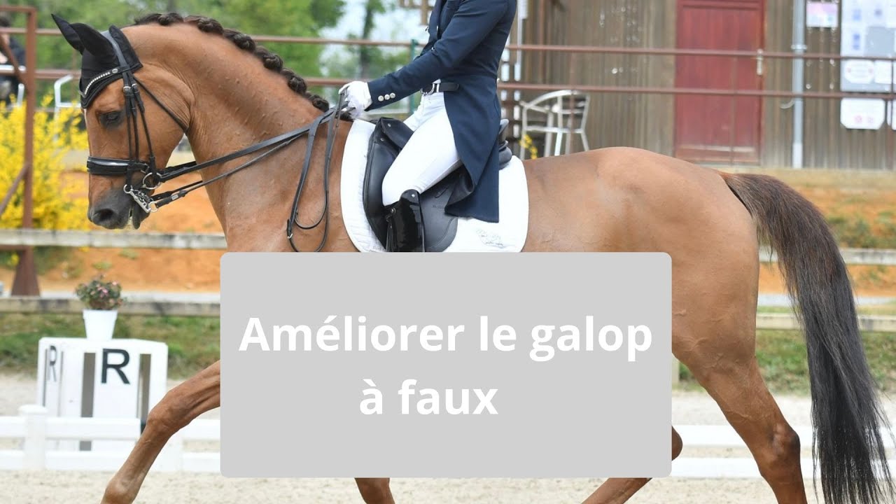 Améliorer le galop à faux
