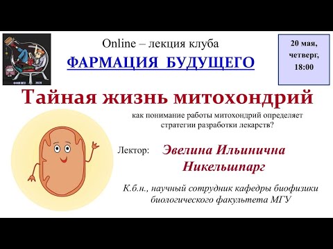 Э.И. Никельшпарг - Тайная жизнь митохондрий