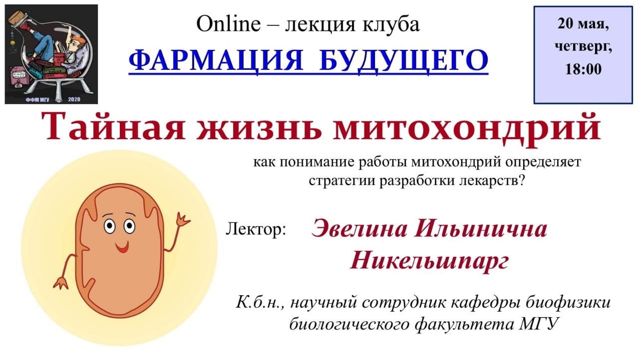 энергетические станции клеток