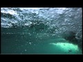 Atlantic Shelfbreak: Using robotic vehicles to observe ocean life