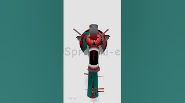 Sky Phase 9 By ggtp #sprunki #phase9 #sky #animation #flipaclip #idk