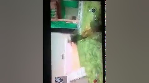 Black ops 1 best jitter mod EVER!!!!!