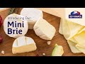 Find Out Why Ile de France Mini Brie Is The Perfect Snack For You!