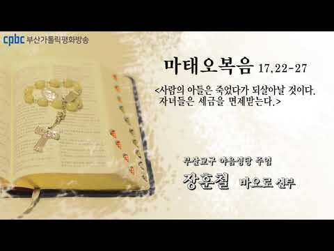 영상썸네일