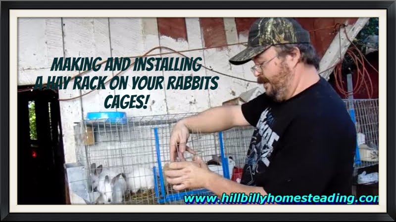 Rabbit Husbandry - Making a Hay Rack and Feeding Alfalfa Hay to Your ...