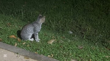 When the path is not clear, watch this video!! | Science with Deen