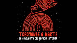 Vignette de la vidéo "Toboganes a Marte - Congelados"