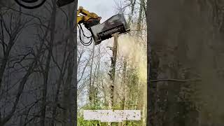 立ち木を一瞬で粉砕！ショベル用マルチングヘッドによる高速樹木伐採工程 #worker #process #forestry #mulching #machinery