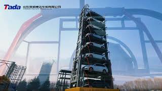 : Vertical rotary carousel parking system