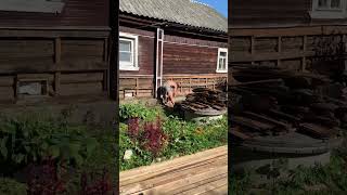 Ремонт старого дома 🏡 Без юмора никуда🤣🙈#деревенскийдом  #ремонтвдоме  #стройка  #частныедома