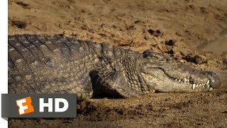 Trophy: a rich hunter pays to kill crocodiles trapped in an enclosure.
buy the movie:
https://www.fandangonow.com/details/movie/trophy-2017/mmvdc98a22fe7e8df...