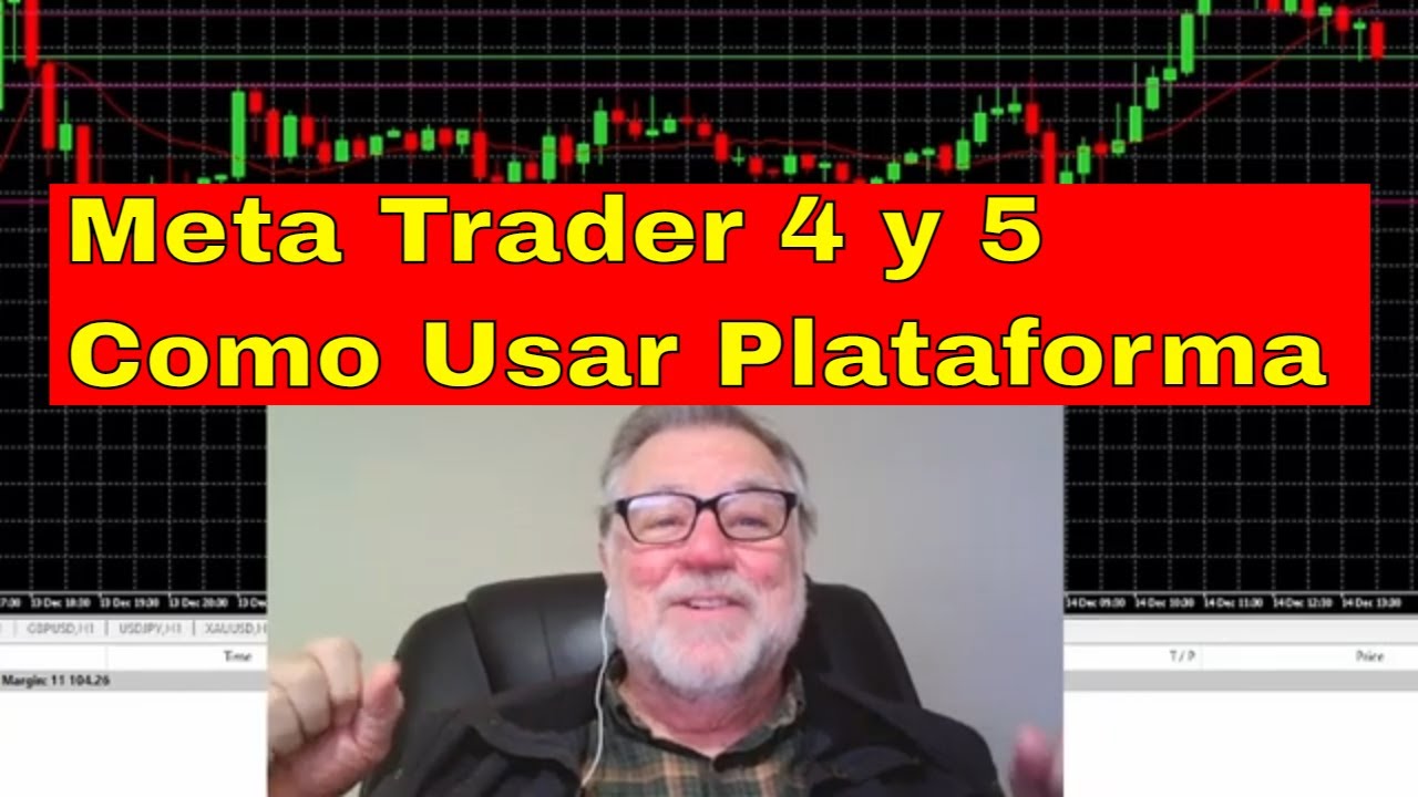 Como usar plataforma forex metatrader 4 y 5 para principiantes del ...