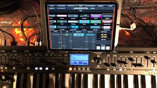Behringer DeepMind 12 - Let’s Explore The Amazing Effects Engine with the App Editor