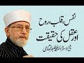 Nafs qalb rooh or aqal ki haqeeqat by shaykhulislam dr muhammad tahirulqadri