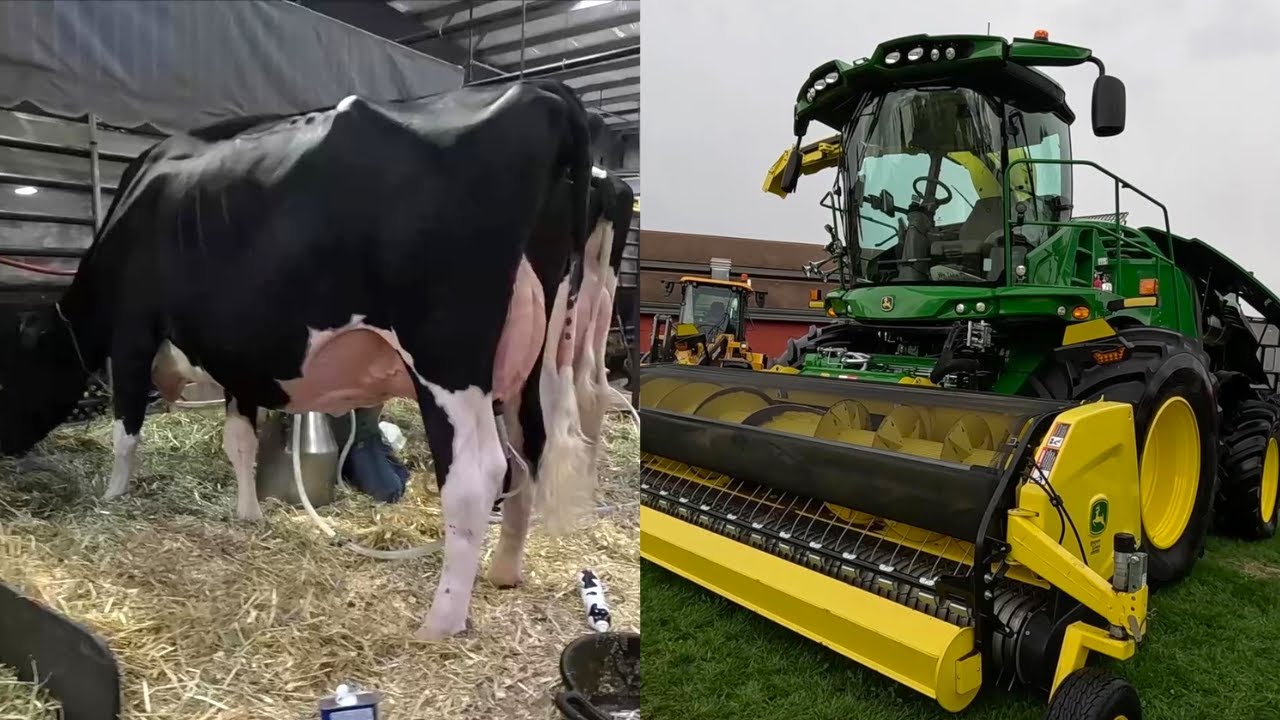 World Dairy Expo 2023! YouTube