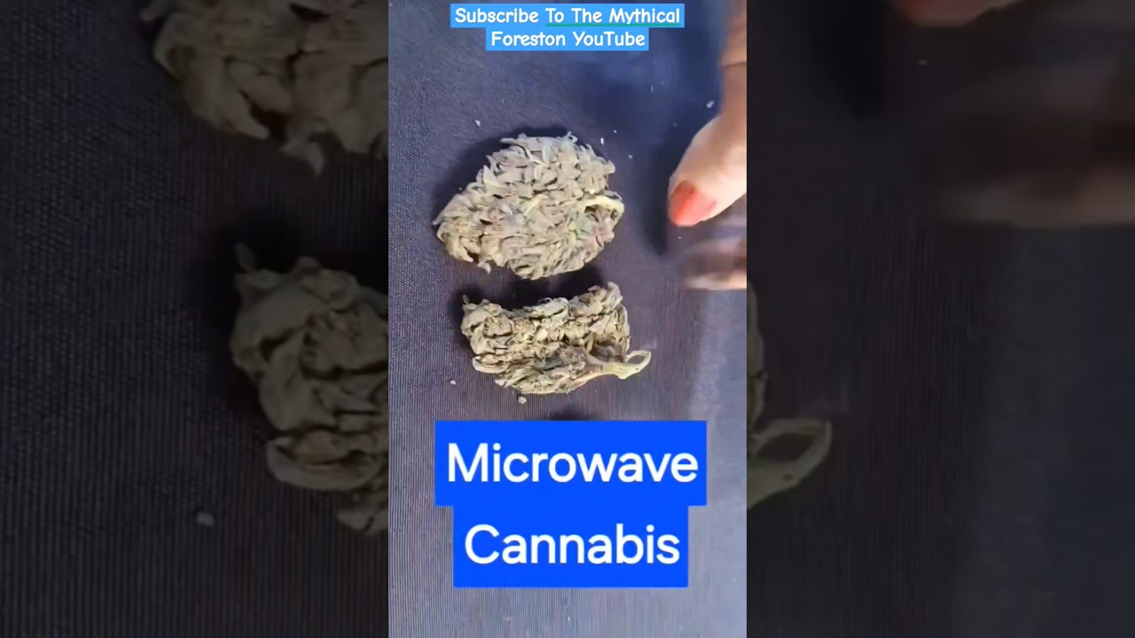 Curing Cannabis in The Microwave on 420