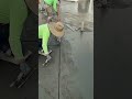 Concrete Grooving #shorts #concretegroovingtool #concretegroover #concretejointer