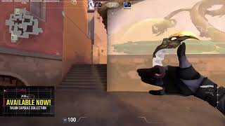 Tln Governor Vs Primmie 1V1