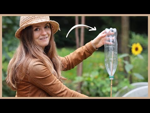 Video: Hilfreiche Gartenhacks: Nützliche Gartentipps für Gemüse