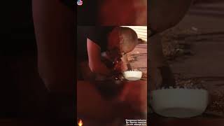 Usa Dog Rescued By Firefighters From A House Fire