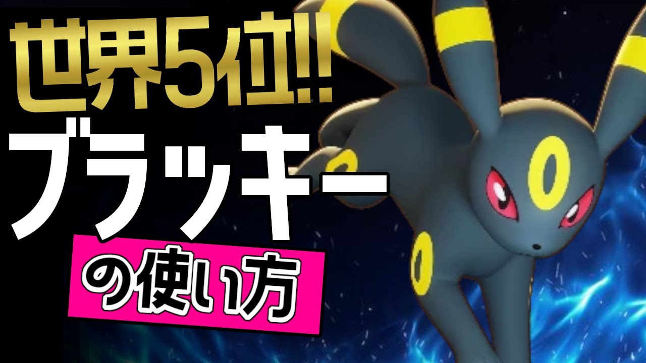 pristine 10 ポケモンユナイト ブラッキー cgcpsa10以上