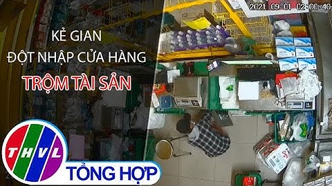 Kẻ gian đột nhập cửa hàng trộm cắp tài sản