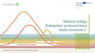 AlpTextyles MOOC | Module 6 — Natural Indigo Extraction protocol from Isatis Tinctoria L (Mediplant)
