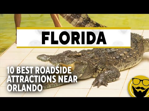 10 Best Roadside Attractions Near Orlando | Florida Roadside Attractions