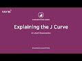 Explaining the j curve i a level and ib economics