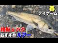 【春トップ！】スレたシーバスにおすすめルアー！