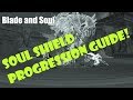 [Blade and Soul] New Player Soul Shield Progression Guide 2019